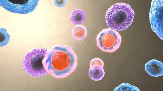 细胞感染B细胞和T细胞受体对抗原的识别人体绘图癌细胞胰岛素分子倍率疾病受精卵细胞器代谢背景