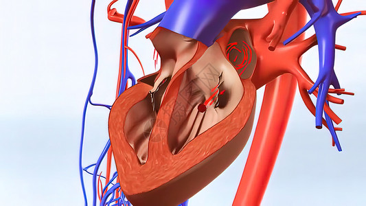 脑出血卫生插图保健红细胞心脏病学传播凝块粒子人体数字背景图片
