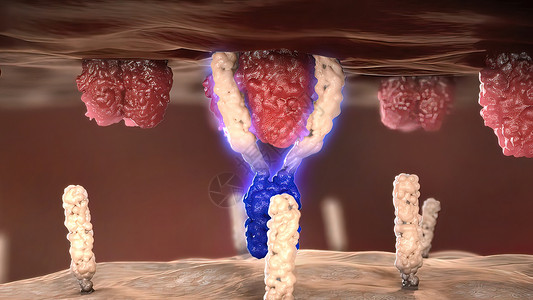 人体激素防癌细胞的抗体受体 防止癌症细胞微生物药品结构代谢细胞核胰岛素医疗癌细胞受精卵葡萄糖背景