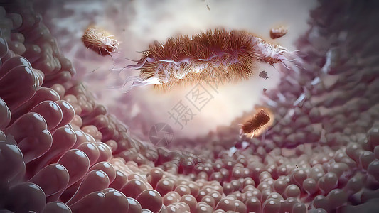 粒细胞病原体单核细胞高清图片