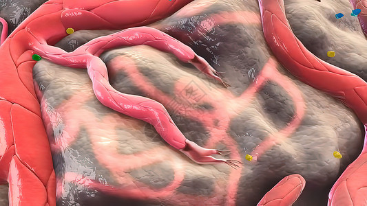 看人体图素材3D医疗图解 三维分立体细胞 空间孤立的缩缩式细胞Pericytes疾病生物学科学失血免疫系统心脏病身体分子动脉结构背景