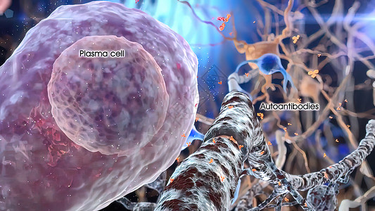 树突细胞电帮助细胞在免疫细胞表面进行交互作用信号老化基因风暴器官神经死亡学习遗传学酵素背景