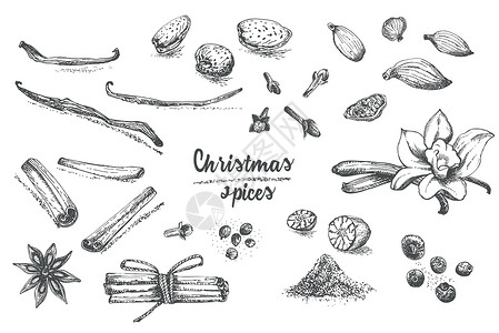 武夷肉桂一套手画了圣诞冬季香料的风格 传统上 甜点 热调味葡萄酒 自制饼干都使用墨水小豆蔻艺术杏仁香草肉桂胡椒八角手绘季节设计图片