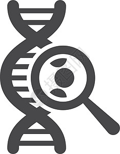 继承基因研究图标 Dna 分子 带有放大镜设计图片