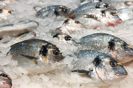 在超市的冰柜上 排在不同的新鲜鱼烹饪养殖销售鱼片甲壳鲈鱼购物柜台部门市场背景图片