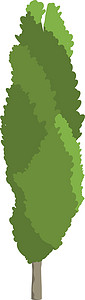 自然公园绿树种植植树造林植物背景图片
