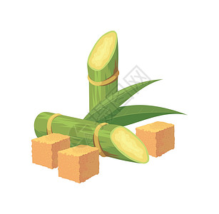 甘蔗农场卡通甘蔗糖 棕色糖和甘蔗原植物的立方体 矢量说明插画