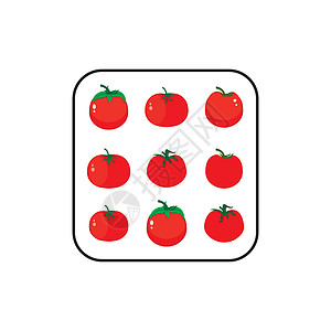 番茄标识标签营养食物艺术蔬菜生态插图植物卡通片农业背景图片