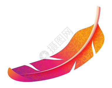 彩虹澳洲鹦鹉落羽毛 多彩彩彩虹在民族粮食风格下松动设计图片