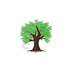 树日志智慧生物拥抱叶子生态教育知识树干地球木头背景图片