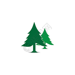 落叶松Spruce 图标插图树干绿化概念云杉植物环境林木松树绿色插画