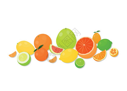 柑橘水果的构成高清图片