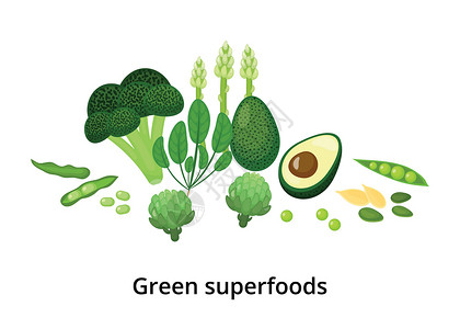 菠菜和朝鲜蓟蘸绿色超食品插画