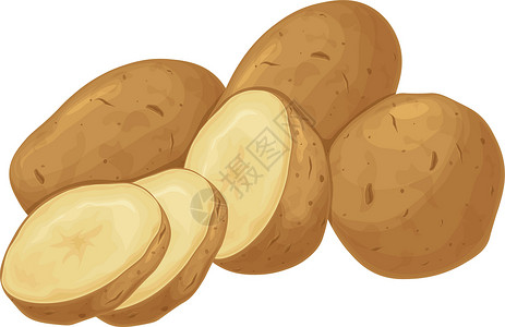 土豆 马铃薯块茎 一种成熟的蔬菜 素食产品 土豆切片 在白色背景上孤立的矢量图烹饪营养植物小吃农业花园淀粉农场卡通片糖类背景图片