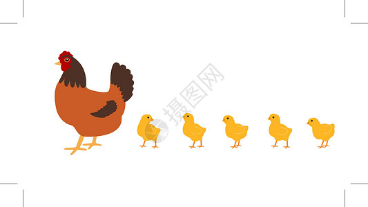 幼鸡养鸡的母鸡 白种背景 孤立的矢量宠物孩子们场地小鸡团体雏鸟家禽农业国家插图插画