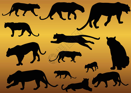 猎豹剪影豹式掠食动物环影矢量插画
