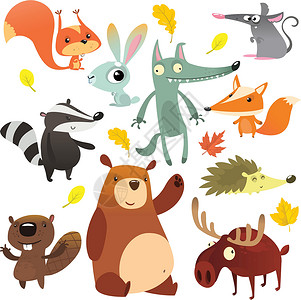 珠海野狸岛卡通森林动物人物 野动漫画可爱动物收藏矢量插画