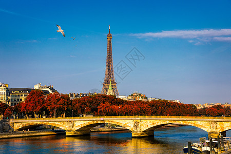 尼桑战神在秋天树叶的艾菲尔铁塔 埃菲尔铁塔与秋天的落叶在巴黎 法国 塞纳河在巴黎与艾菲尔铁塔在秋天的时间 有艾菲尔铁塔的巴黎在秋天时间背景