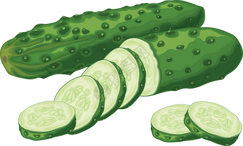 什锦泡菜绿色黄瓜 成熟的切片绿色黄瓜的图像 绿色素食产品 在白色背景上孤立的矢量图农业水果剪贴插图蔬菜食物厨房沙拉植物营养插画