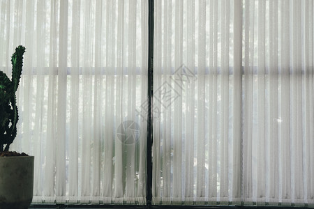 白色通过纯粹的窗口窗帘看到织物植物住宅卧室窗户装饰房子风格背景图片