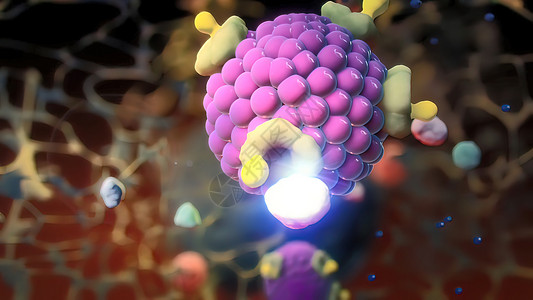小兔双层气球入室牢房的Ion 频道细胞生物学渠道显微镜药品荷尔蒙运输科学细胞质医疗背景