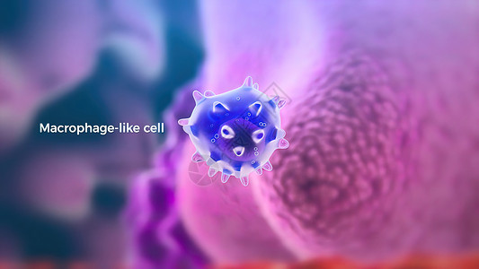基因突变细木板是一个单能干细胞 它区分成电效应器研究模型动物医学模式染色体分子遗传突变基因背景