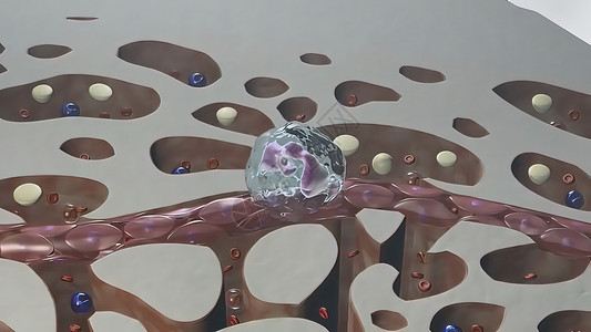 免疫系统及防御系统细胞免疫紫色生物学宏观白细胞癌细胞科学淋巴感冒背景图片
