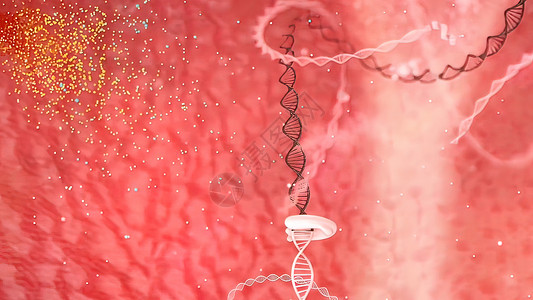 DNA螺旋突变密码研究模式核酸生物学医学结构高分子化学基因背景图片