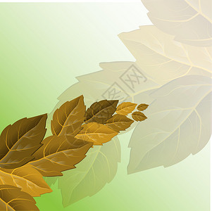矢量秋天插画 美丽的树叶秋天季节性背景图案 秋天树向量 自然插画黄色红色边界墙纸插图绿色花园框架植物学森林背景图片