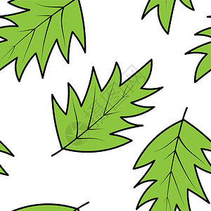 美丽无缝的卡通图案 绿色叶子用于纸张设计 无缝矢量背景背景图片