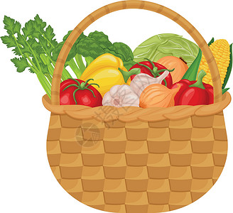 一篮子洋葱新鲜蔬菜 篮子里的蔬菜 来自花园的蔬菜 如西红柿 辣椒 玉米和洋葱 大蒜和卷心菜西兰花配芹菜 孤立的矢量图插画