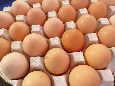 鸡蛋盒子供超市销售的新鲜鸡蛋产品母鸡环境家禽生物农民农场动物纸板农业农村背景