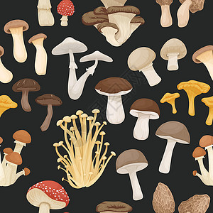 平菇矢量无缝模式与可食用 有毒的不可食用蘑菇 手绘卡通蘑菇 在黑色的不同的蘑菇 飞木耳 香菇 死亡帽 香菇 金针菇 小号王插画