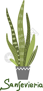 家庭种植矢量插图 城市丛林 植物是朋友房间园艺叶子花园温室植物群热带播种机湿气树叶背景图片