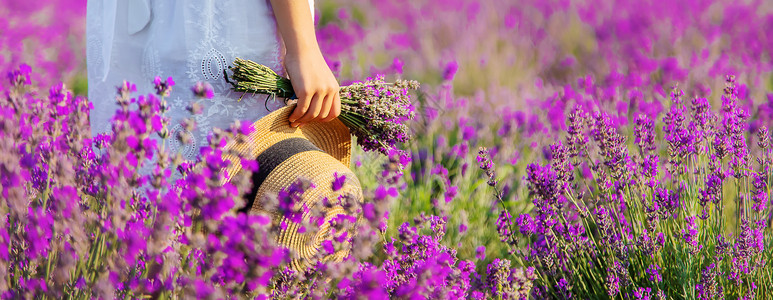 萱衣草一个在紫衣草田里的孩子 有选择的焦点帽子香气女孩收成农田横幅熏衣草女性香味裙子背景