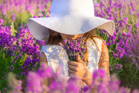 萱衣草一个在紫衣草田里的孩子 有选择的焦点植物群紫色熏衣草花朵植物香气农场女性女孩场地背景