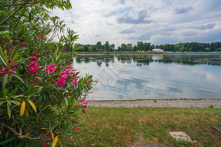伊德罗斯卡罗湖公园和美丽的花朵高清图片