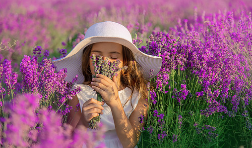 萱衣草一个在紫衣草田里的孩子 有选择的焦点裙子熏衣草女孩农田农村童年香气紫色农场农业背景