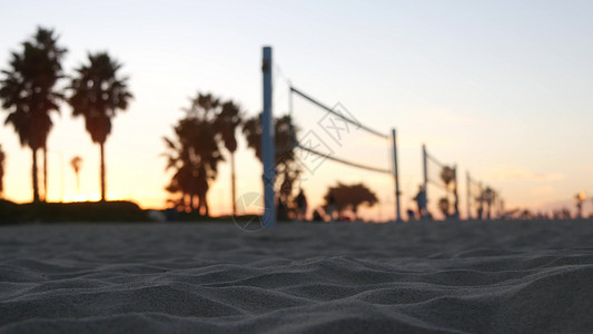 圣莫妮卡海滩在海滩法庭玩排球的玩家 用球和网打排球游戏壁纸支撑海岸日落场地海洋娱乐电影背景截击背景
