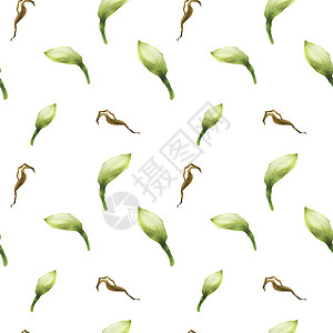 浅绿色无缝绿形图案FS花束墙纸水彩艺术香气包装纸星星花园植物群植物背景图片