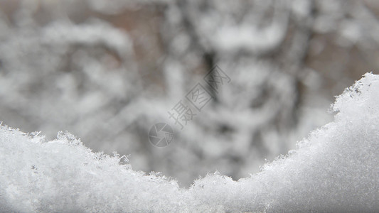 冬天落下的白雪片 圣诞雪花的秋天雪花薄片公园树木电影动态雪堆银行降雪森林摄影背景图片