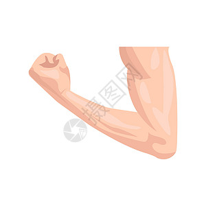 拳头元素肌肉发达的手臂平面图标 身体部位集合中的彩色矢量元素 用于网页设计 模板和信息图表的创意肌肉手臂图标插画