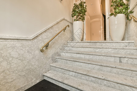 带楼梯和植物的宽宽宽明走廊高清图片