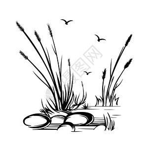 草穗以黑色大纲草原草原和草原草原为图画手工绘制的矢量插画