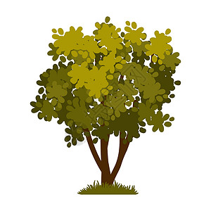 卡通绿树图标树枝植物生长木头魔法生态森林环境季节叶子背景图片