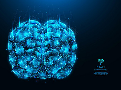 深蓝色背景下人脑的多边形矢量图解 大脑解剖学低聚艺术 神经系统医学横幅 模板或背景 人工智能概念背景图片