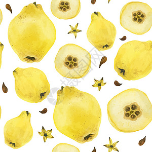 西多士黄黄金水果无缝模式园艺果汁饮食艺术品黄色艺术植物种子插图甜点插画