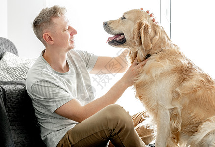 英俊的年轻帅哥带着金色猎犬朋友成人男人友谊公寓动物乐趣快乐拥抱男性拉布拉多犬高清图片素材