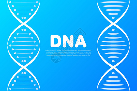 黑色 dna Logo 符号 用于医疗设计的图标遗产螺旋抗体生物学基因组染色体遗传顺序科学生活背景图片