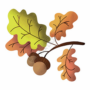 矢量插图 说明橡树枝有叶和橡果绿色种子棕色标识秋叶黄色食物橙子叶子褐色插画